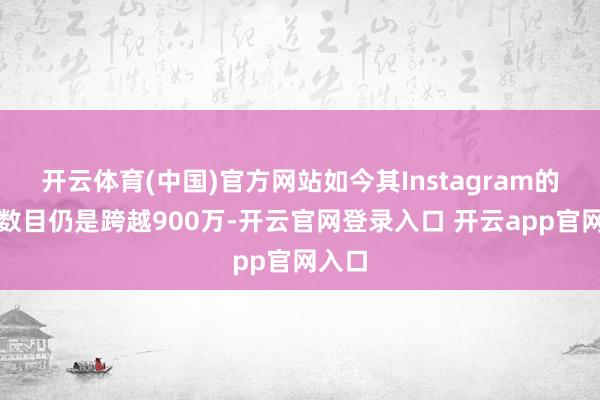 开云体育(中国)官方网站如今其Instagram的粉丝数目仍是跨越900万-开云官网登录入口 开云app官网入口