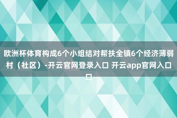 欧洲杯体育构成6个小组结对帮扶全镇6个经济薄弱村（社区）-开云官网登录入口 开云app官网入口