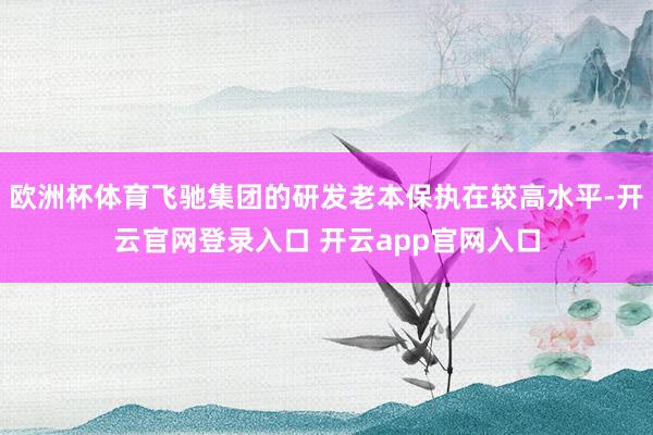 欧洲杯体育飞驰集团的研发老本保执在较高水平-开云官网登录入口 开云app官网入口