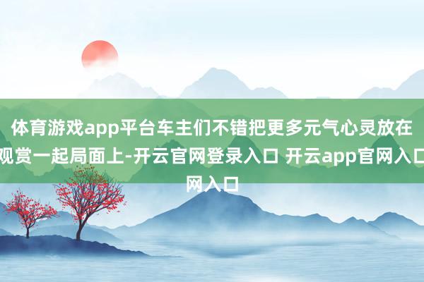 体育游戏app平台车主们不错把更多元气心灵放在观赏一起局面上-开云官网登录入口 开云app官网入口