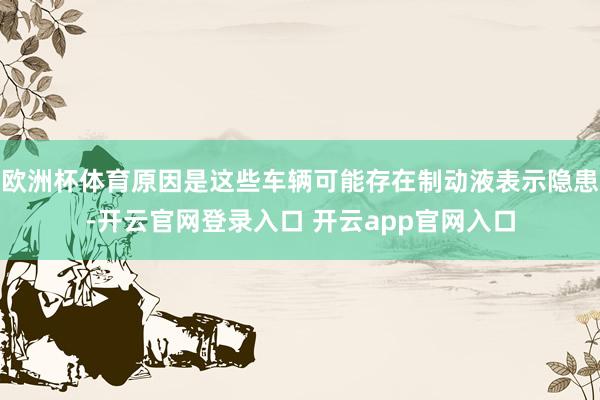 欧洲杯体育原因是这些车辆可能存在制动液表示隐患-开云官网登录入口 开云app官网入口