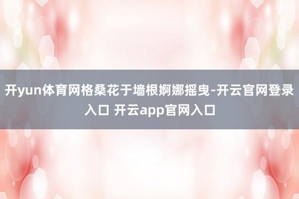 开yun体育网格桑花于墙根婀娜摇曳-开云官网登录入口 开云app官网入口