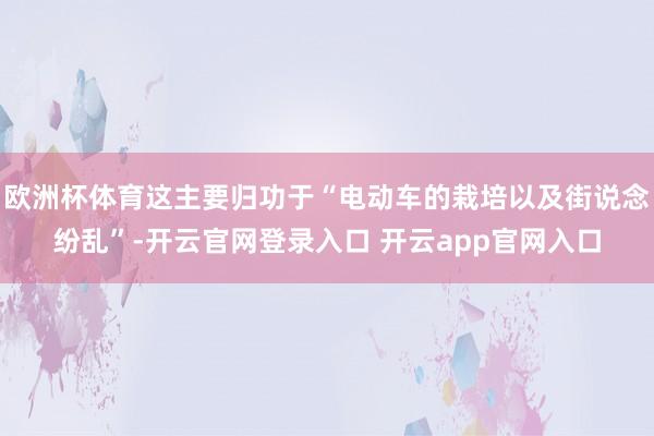 欧洲杯体育这主要归功于“电动车的栽培以及街说念纷乱”-开云官网登录入口 开云app官网入口