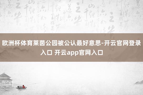 欧洲杯体育莱茵公园被公认最好意思-开云官网登录入口 开云app官网入口