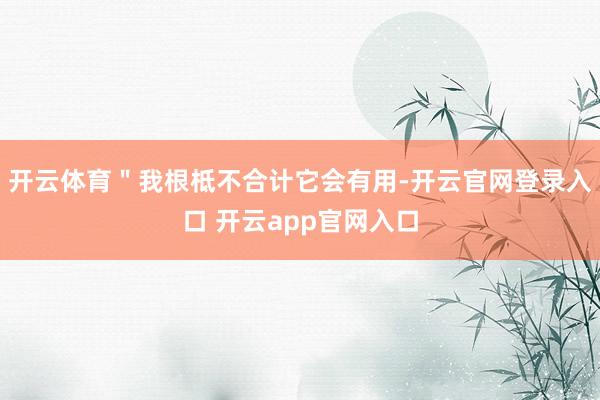 开云体育"我根柢不合计它会有用-开云官网登录入口 开云app官网入口