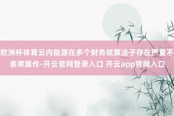 欧洲杯体育云内能源在多个财务核算法子存在严重不表率算作-开云官网登录入口 开云app官网入口