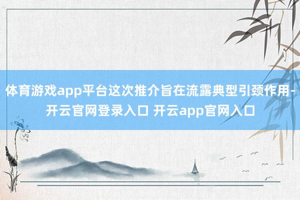 体育游戏app平台这次推介旨在流露典型引颈作用-开云官网登录入口 开云app官网入口