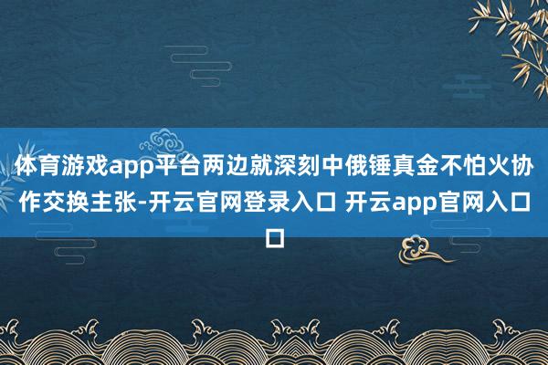 体育游戏app平台两边就深刻中俄锤真金不怕火协作交换主张-开云官网登录入口 开云app官网入口