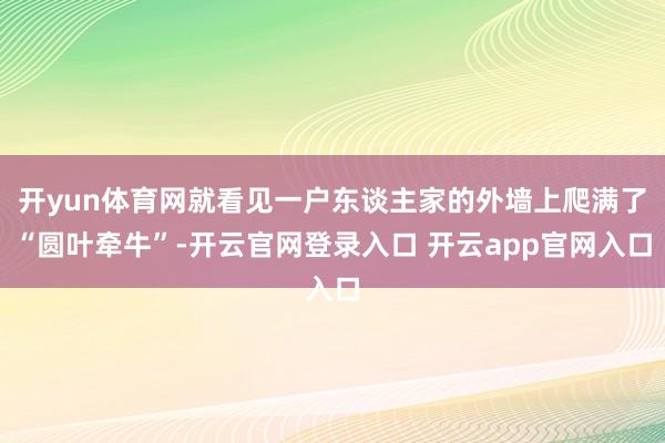 开yun体育网就看见一户东谈主家的外墙上爬满了“圆叶牵牛”-开云官网登录入口 开云app官网入口