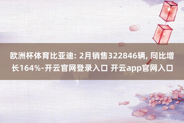 欧洲杯体育比亚迪: 2月销售322846辆, 同比增长164%-开云官网登录入口 开云app官网入口