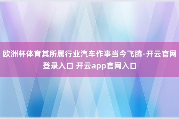 欧洲杯体育其所属行业汽车作事当今飞腾-开云官网登录入口 开云app官网入口