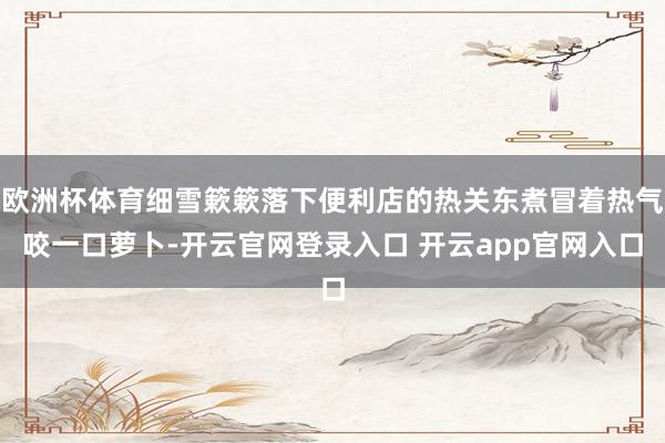 欧洲杯体育细雪簌簌落下便利店的热关东煮冒着热气咬一口萝卜-开云官网登录入口 开云app官网入口