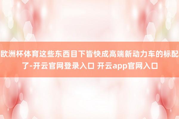 欧洲杯体育这些东西目下皆快成高端新动力车的标配了-开云官网登录入口 开云app官网入口