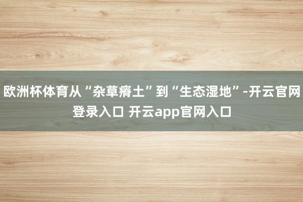 欧洲杯体育从“杂草瘠土”到“生态湿地”-开云官网登录入口 开云app官网入口