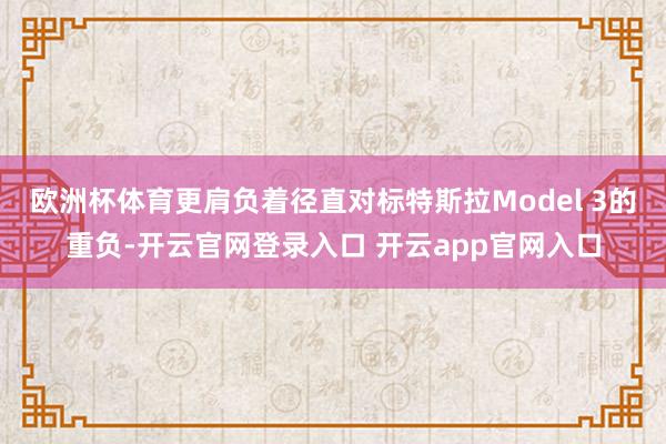 欧洲杯体育更肩负着径直对标特斯拉Model 3的重负-开云官网登录入口 开云app官网入口