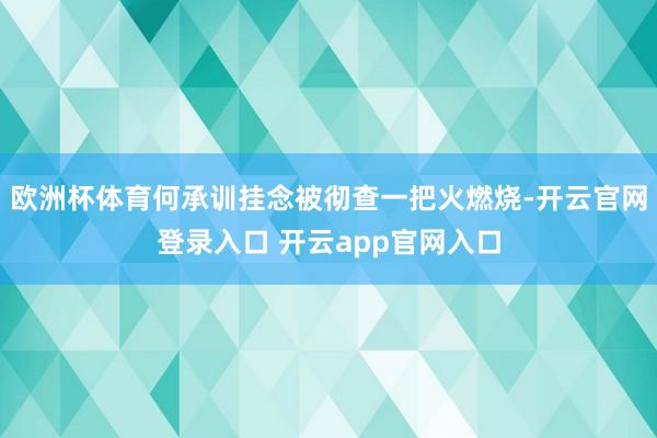 欧洲杯体育何承训挂念被彻查一把火燃烧-开云官网登录入口 开云app官网入口
