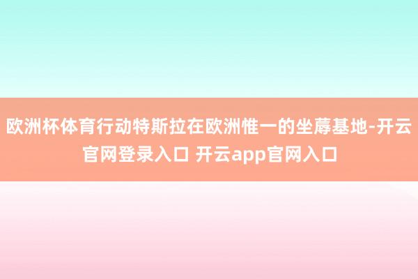 欧洲杯体育行动特斯拉在欧洲惟一的坐蓐基地-开云官网登录入口 开云app官网入口