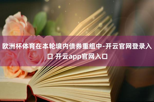 欧洲杯体育　　在本轮境内债券重组中-开云官网登录入口 开云app官网入口