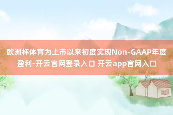 欧洲杯体育为上市以来初度实现Non-GAAP年度盈利-开云官网登录入口 开云app官网入口